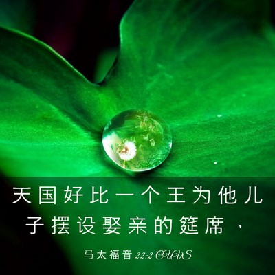 Picture 03 - 马 太 福 音 22:2 CUVS - 天 国 好 比 一 个 王 为 他 儿 子 摆 - Bible Verse Picture