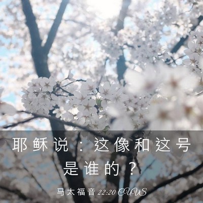 Picture 03 - 马 太 福 音 22:20 CUVS - 耶 稣 说 ： 这 像 和 这 号 是 谁 的 - Bible Verse Picture