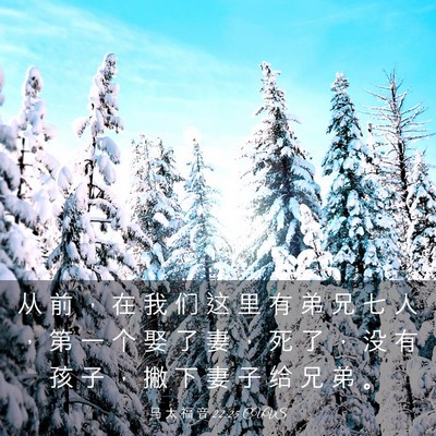 Picture 03 - 马 太 福 音 22:25 CUVS - 从 前 ， 在 我 们 这 里 有 弟 兄 七 - Bible Verse Picture