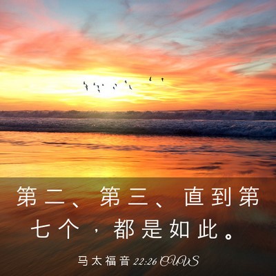 Picture 03 - 马 太 福 音 22:26 CUVS - 第 二 、 第 三 、 直 到 第 七 个 ， - Bible Verse Picture