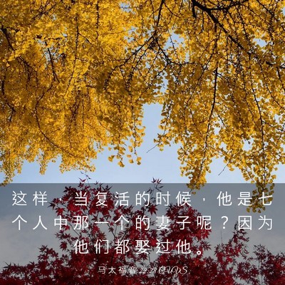 Picture 03 - 马 太 福 音 22:28 CUVS - 这 样 ， 当 复 活 的 时 候 ， 他 是 - Bible Verse Picture