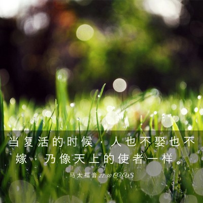 Picture 03 - 马 太 福 音 22:30 CUVS - 当 复 活 的 时 候 ， 人 也 不 娶 也 - Bible Verse Picture