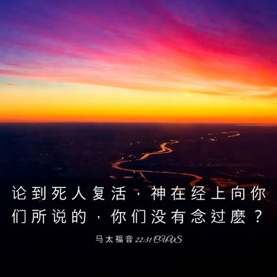 Picture 03 - 马 太 福 音 22:31 CUVS - 论 到 死 人 复 活 ， 神 在 经 上 向 - Bible Verse Picture