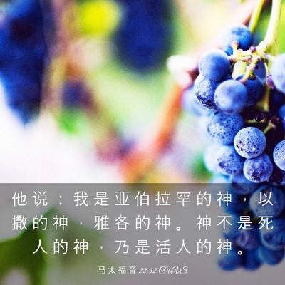 Picture 03 - 马 太 福 音 22:32 CUVS - 他 说 ： 我 是 亚 伯 拉 罕 的 神 ， - Bible Verse Picture