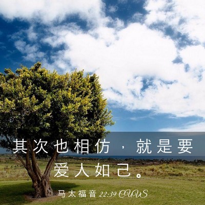Picture 03 - 马 太 福 音 22:39 CUVS - 其 次 也 相 仿 ， 就 是 要 爱 人 如 - Bible Verse Picture