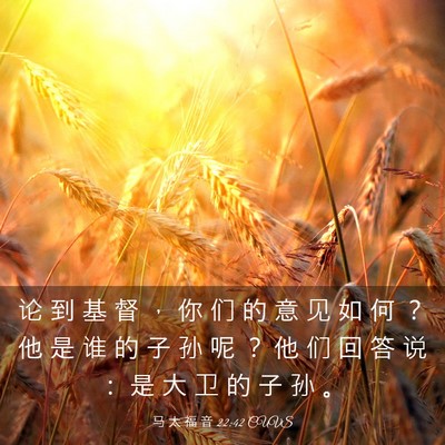 Picture 03 - 马 太 福 音 22:42 CUVS - 论 到 基 督 ， 你 们 的 意 见 如 何 - Bible Verse Picture