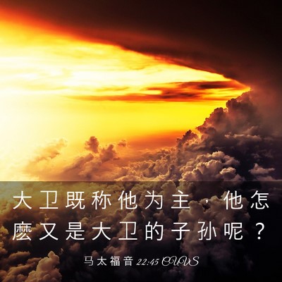Picture 03 - 马 太 福 音 22:45 CUVS - 大 卫 既 称 他 为 主 ， 他 怎 麽 又 - Bible Verse Picture