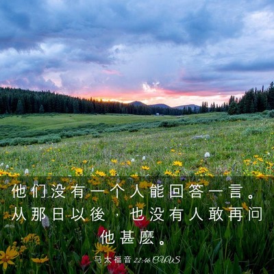 Picture 03 - 马 太 福 音 22:46 CUVS - 他 们 没 有 一 个 人 能 回 答 一 言 - Bible Verse Picture