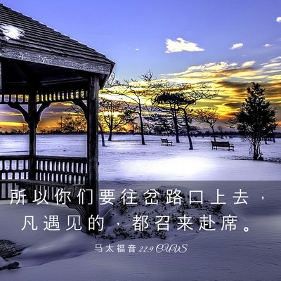 Picture 03 - 马 太 福 音 22:9 CUVS - 所 以 你 们 要 往 岔 路 口 上 去 ， - Bible Verse Picture