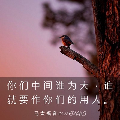 Picture 03 - 马 太 福 音 23:11 CUVS - 你 们 中 间 谁 为 大 ， 谁 就 要 作 - Bible Verse Picture