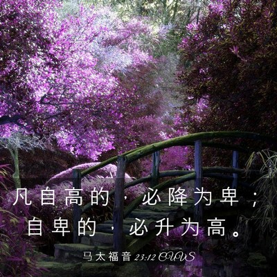 Picture 03 - 马 太 福 音 23:12 CUVS - 凡 自 高 的 ， 必 降 为 卑 ； 自 卑 - Bible Verse Picture