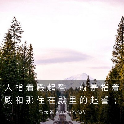 Picture 03 - 马 太 福 音 23:21 CUVS - 人 指 着 殿 起 誓 ， 就 是 指 着 殿 - Bible Verse Picture
