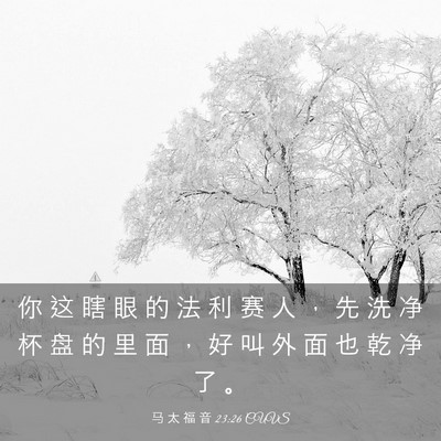 Picture 03 - 马 太 福 音 23:26 CUVS - 你 这 瞎 眼 的 法 利 赛 人 ， 先 洗 - Bible Verse Picture