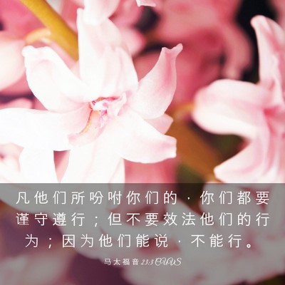 Picture 03 - 马 太 福 音 23:3 CUVS - 凡 他 们 所 吩 咐 你 们 的 ， 你 们 - Bible Verse Picture
