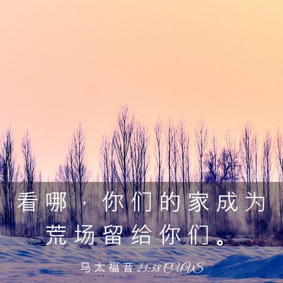 Picture 03 - 马 太 福 音 23:38 CUVS - 看 哪 ， 你 们 的 家 成 为 荒 场 留 - Bible Verse Picture