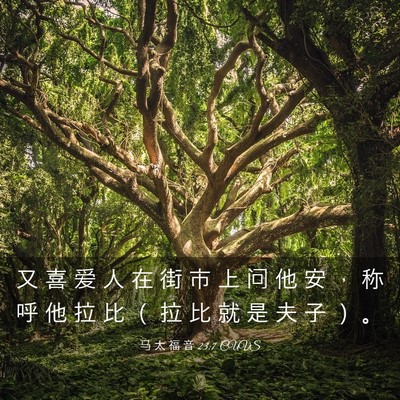 Picture 03 - 马 太 福 音 23:7 CUVS - 又 喜 爱 人 在 街 市 上 问 他 安 ， - Bible Verse Picture
