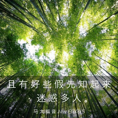 Picture 03 - 马 太 福 音 24:11 CUVS - 且 有 好 些 假 先 知 起 来 ， 迷 惑 - Bible Verse Picture