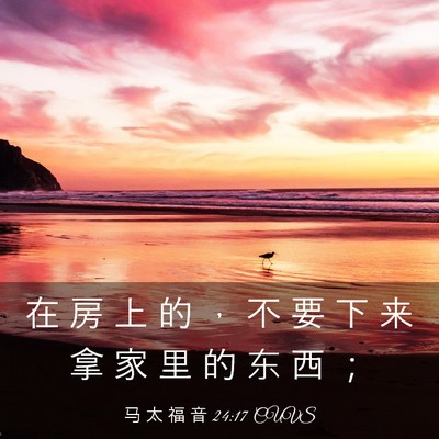 Picture 03 - 马 太 福 音 24:17 CUVS - 在 房 上 的 ， 不 要 下 来 拿 家 里 - Bible Verse Picture