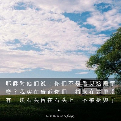Picture 03 - 马 太 福 音 24:2 CUVS - 耶 稣 对 他 们 说 ： 你 们 不 是 看 - Bible Verse Picture