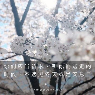 Picture 03 - 马 太 福 音 24:20 CUVS - 你 们 应 当 祈 求 ， 叫 你 们 逃 走 - Bible Verse Picture