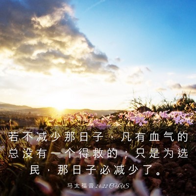 Picture 03 - 马 太 福 音 24:22 CUVS - 若 不 减 少 那 日 子 ， 凡 有 血 气 - Bible Verse Picture