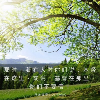 Picture 03 - 马 太 福 音 24:23 CUVS - 那 时 ， 若 有 人 对 你 们 说 ： 基 - Bible Verse Picture