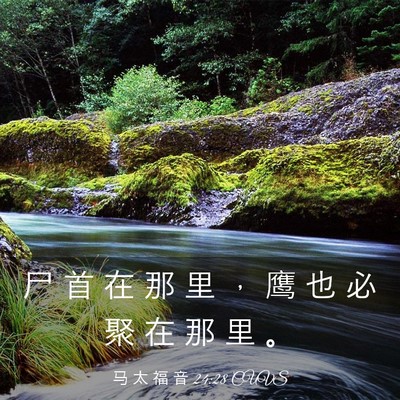 Picture 03 - 马 太 福 音 24:28 CUVS - 尸 首 在 那 里 ， 鹰 也 必 聚 在 那 - Bible Verse Picture