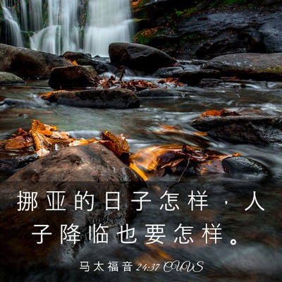 Picture 03 - 马 太 福 音 24:37 CUVS - 挪 亚 的 日 子 怎 样 ， 人 子 降 临 - Bible Verse Picture