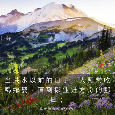 Picture 03 - 马 太 福 音 24:38 CUVS - 当 洪 水 以 前 的 日 子 ， 人 照 常 - Bible Verse Picture