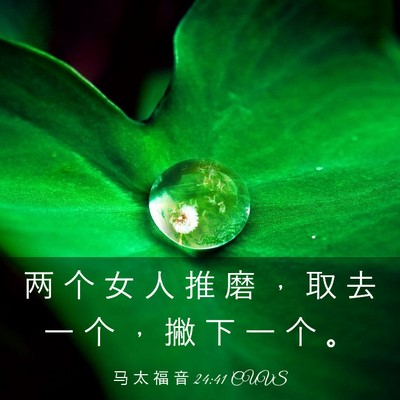 Picture 03 - 马 太 福 音 24:41 CUVS - 两 个 女 人 推 磨 ， 取 去 一 个 ， - Bible Verse Picture