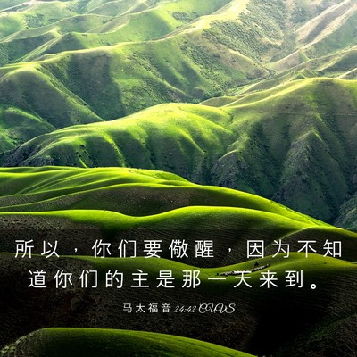 Picture 03 - 马 太 福 音 24:42 CUVS - 所 以 ， 你 们 要 儆 醒 ， 因 为 不 - Bible Verse Picture