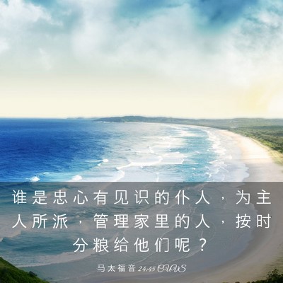 Picture 03 - 马 太 福 音 24:45 CUVS - 谁 是 忠 心 有 见 识 的 仆 人 ， 为 - Bible Verse Picture