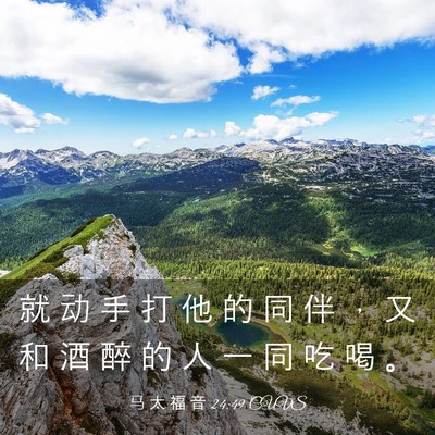 Picture 03 - 马 太 福 音 24:49 CUVS - 就 动 手 打 他 的 同 伴 ， 又 和 酒 - Bible Verse Picture