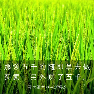 Picture 03 - 马 太 福 音 25:16 CUVS - 那 领 五 千 的 随 即 拿 去 做 买 卖 - Bible Verse Picture