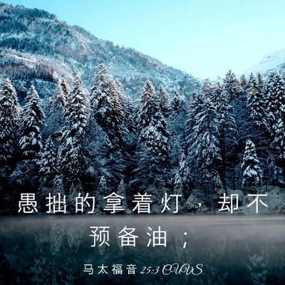 Picture 03 - 马 太 福 音 25:3 CUVS - 愚 拙 的 拿 着 灯 ， 却 不 预 备 油 - Bible Verse Picture