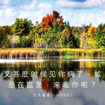Picture 03 - 马 太 福 音 25:39 CUVS - 又 甚 麽 时 候 见 你 病 了 ， 或 是 - Bible Verse Picture