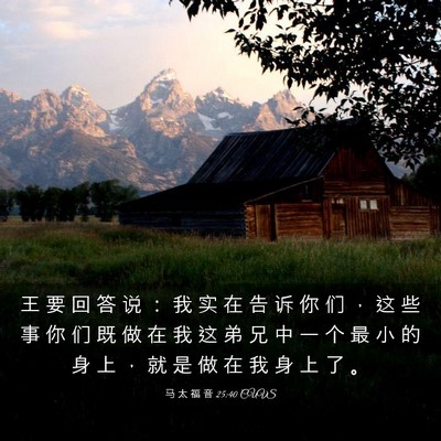 Picture 03 - 马 太 福 音 25:40 CUVS - 王 要 回 答 说 ： 我 实 在 告 诉 你 - Bible Verse Picture