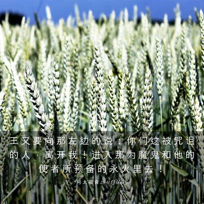 Picture 03 - 马 太 福 音 25:41 CUVS - 王 又 要 向 那 左 边 的 说 ： 你 们 - Bible Verse Picture