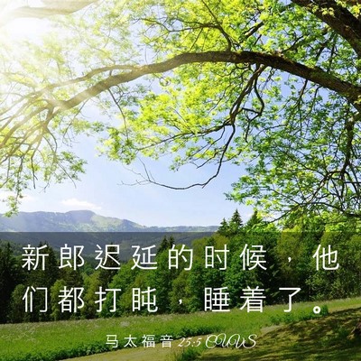 Picture 03 - 马 太 福 音 25:5 CUVS - 新 郎 迟 延 的 时 候 ， 他 们 都 打 - Bible Verse Picture