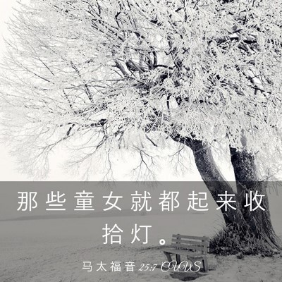 Picture 03 - 马 太 福 音 25:7 CUVS - 那 些 童 女 就 都 起 来 收 拾 灯 - Bible Verse Picture