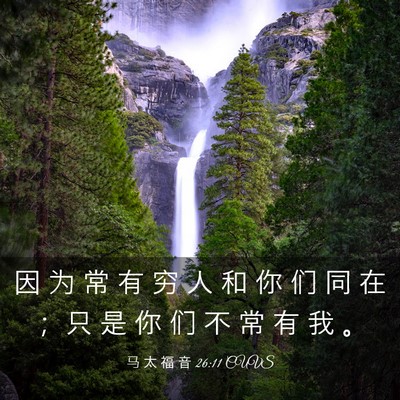 Picture 03 - 马 太 福 音 26:11 CUVS - 因 为 常 有 穷 人 和 你 们 同 在 ； - Bible Verse Picture