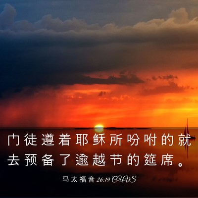 Picture 03 - 马 太 福 音 26:19 CUVS - 门 徒 遵 着 耶 稣 所 吩 咐 的 就 去 - Bible Verse Picture