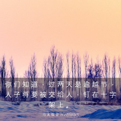Picture 03 - 马 太 福 音 26:2 CUVS - 你 们 知 道 ， 过 两 天 是 逾 越 节 - Bible Verse Picture