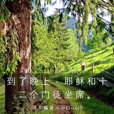 Picture 03 - 马 太 福 音 26:20 CUVS - 到 了 晚 上 ， 耶 稣 和 十 二 个 门 - Bible Verse Picture