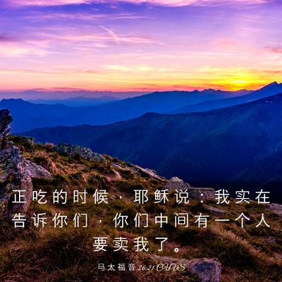 Picture 03 - 马 太 福 音 26:21 CUVS - 正 吃 的 时 候 ， 耶 稣 说 ： 我 实 - Bible Verse Picture