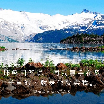 Picture 03 - 马 太 福 音 26:23 CUVS - 耶 稣 回 答 说 ： 同 我 蘸 手 在 盘 - Bible Verse Picture