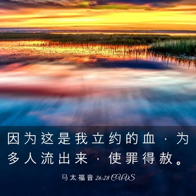 Picture 03 - 马 太 福 音 26:28 CUVS - 因 为 这 是 我 立 约 的 血 ， 为 多 - Bible Verse Picture