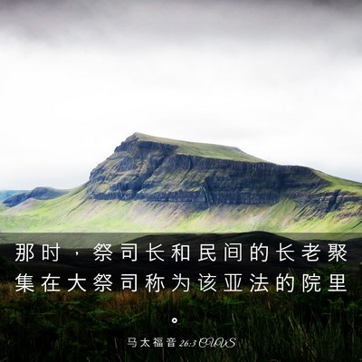 Picture 03 - 马 太 福 音 26:3 CUVS - 那 时 ， 祭 司 长 和 民 间 的 长 老 - Bible Verse Picture