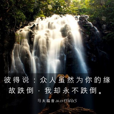 Picture 03 - 马 太 福 音 26:33 CUVS - 彼 得 说 ： 众 人 虽 然 为 你 的 缘 - Bible Verse Picture
