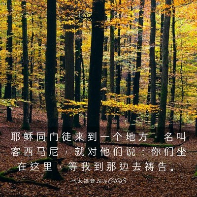 Picture 03 - 马 太 福 音 26:36 CUVS - 耶 稣 同 门 徒 来 到 一 个 地 方 ， - Bible Verse Picture